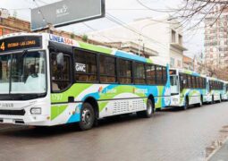 Iveco Bus