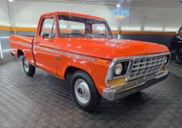 Ford F-100, la pick up