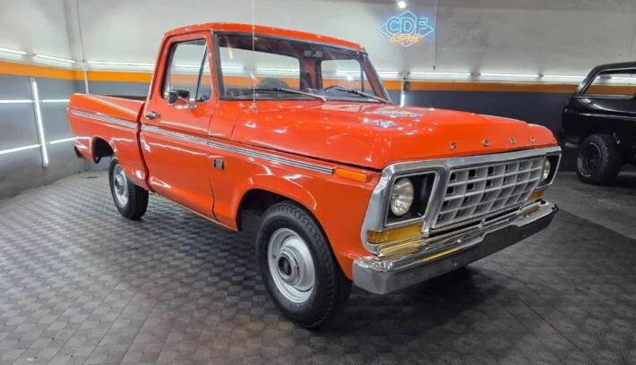 Ford F-100, la pick up