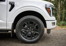 Ford F-150, la pick up full size que suma una nueva versión y novedades