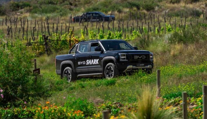 BYD Shark, la pick up mediana