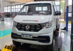 Dongfeng Argentina estrategia