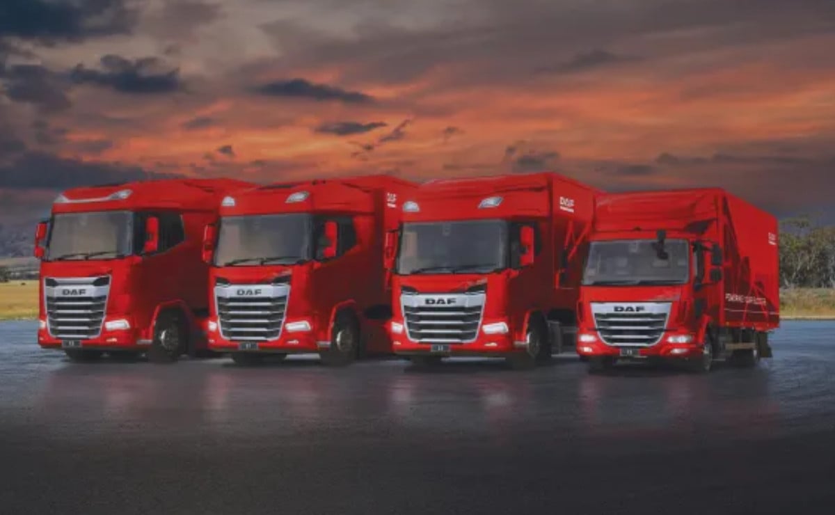 daf xg xf xd y xb la gama que quiere des 1