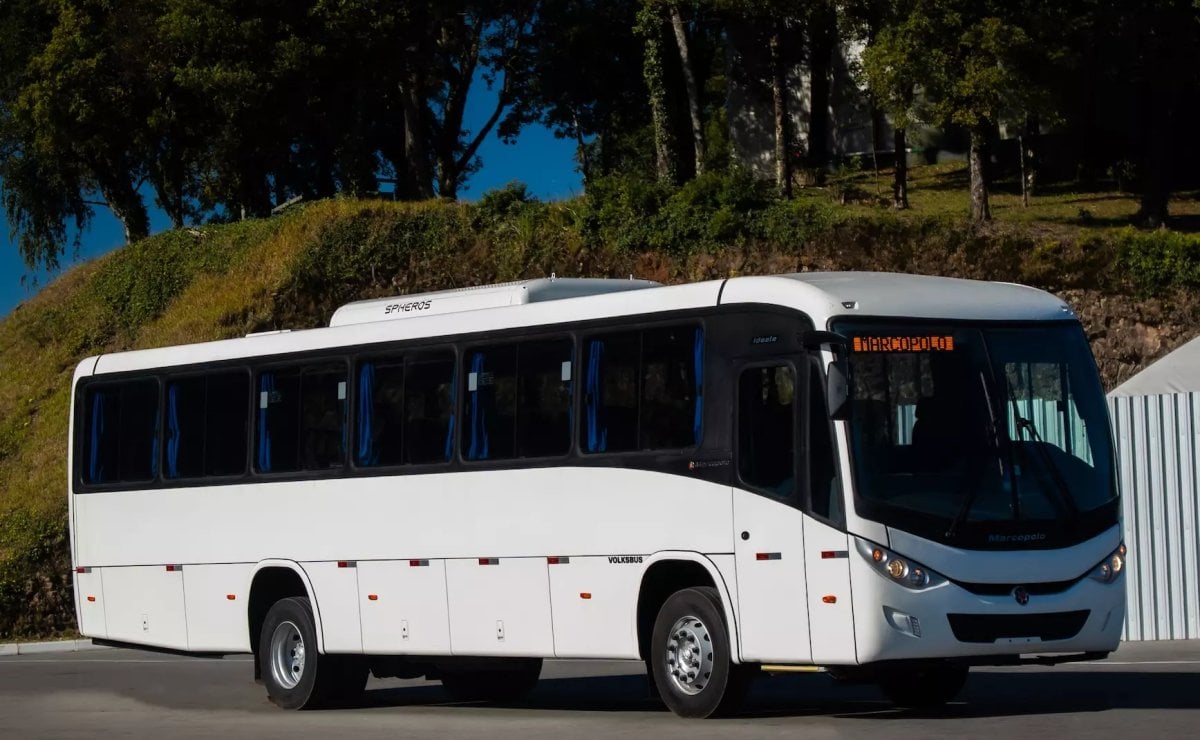 Volkswagen entregará 227 camiones Constellation y 245 buses: lo que hay que saber y más 1 Volkswagen Camiones y Buses entrega vehículos